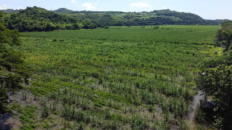 Venta de 57 manzanas de Terreno en San Diego La Libertad acceso a Litoral - Imagen 5