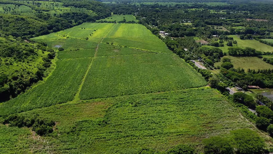 Venta de 57 manzanas de Terreno en San Diego La Libertad acceso a Litoral - Imagen 16