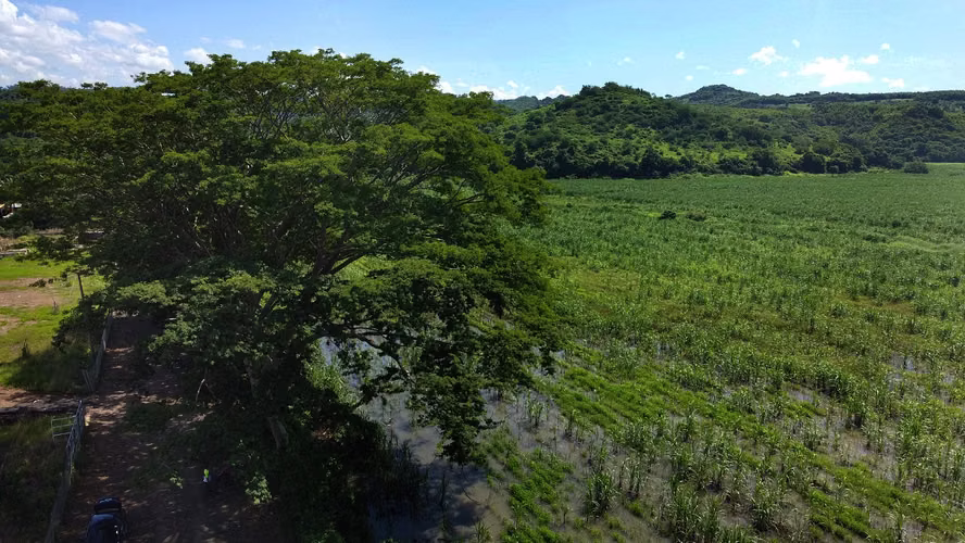 Venta de 57 manzanas de Terreno en San Diego La Libertad acceso a Litoral - Imagen 6
