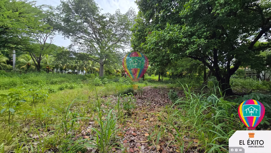 VENDO TERRENOS EN LAS VERANERAS LOS COBANOS, SONSONATE - Imagen 3