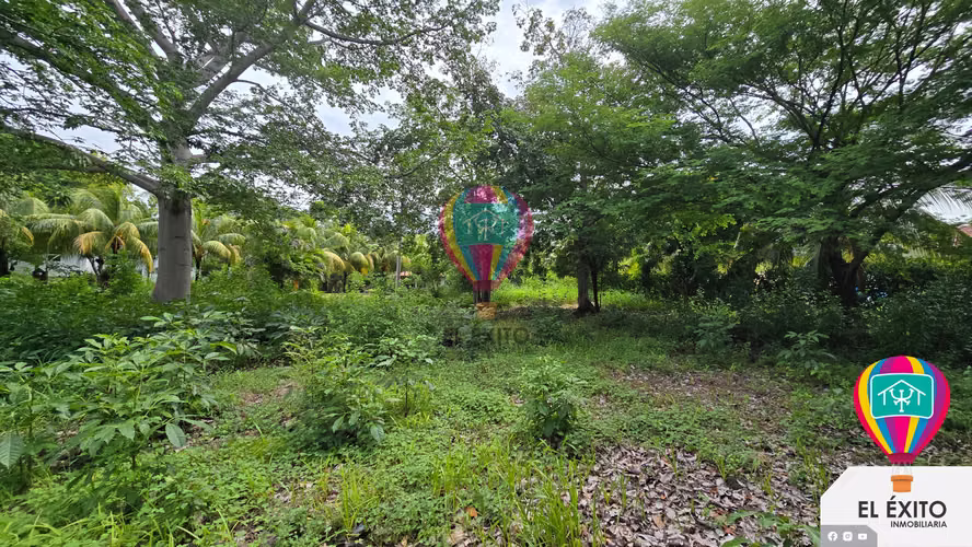 VENDO TERRENOS EN LAS VERANERAS LOS COBANOS, SONSONATE - Imagen 8