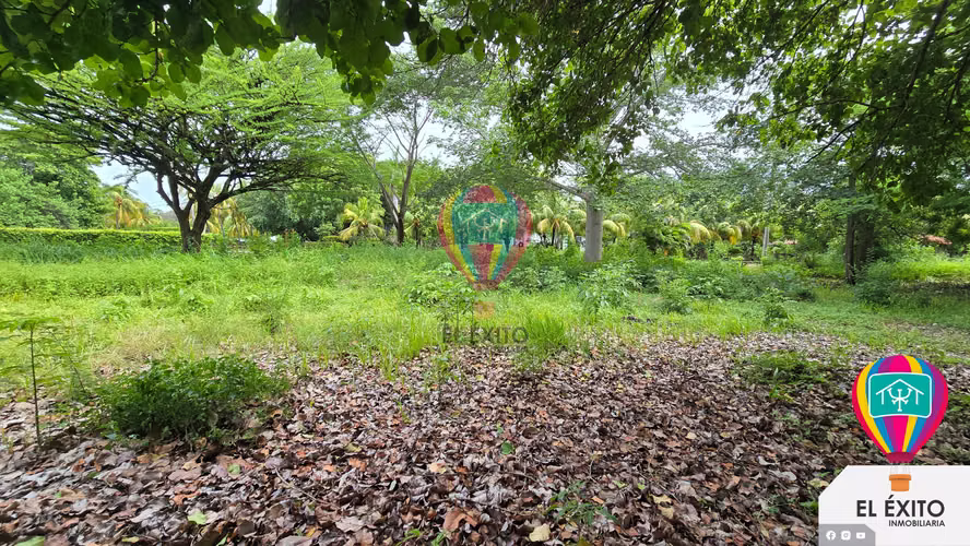 VENDO TERRENOS EN LAS VERANERAS LOS COBANOS, SONSONATE - Imagen 5