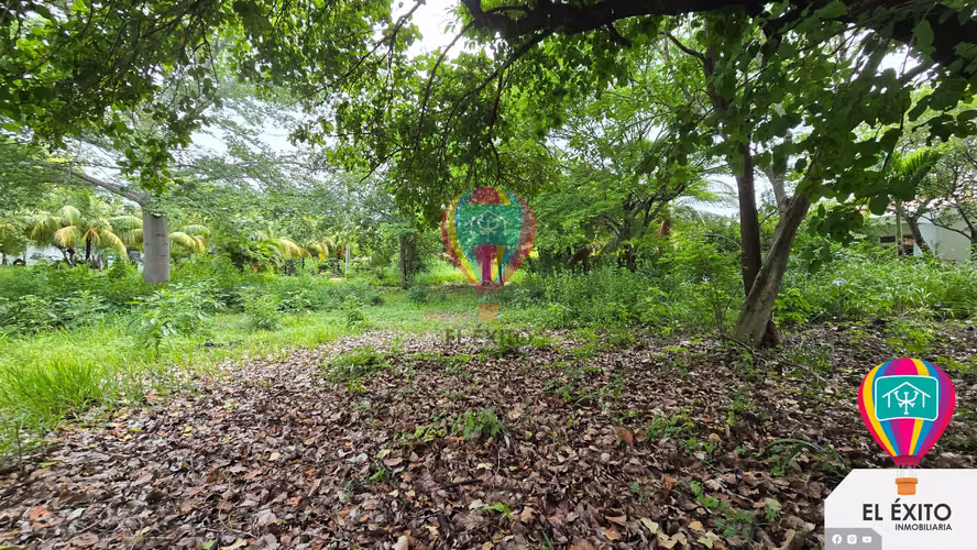 VENDO TERRENOS EN LAS VERANERAS LOS COBANOS, SONSONATE - Imagen 6