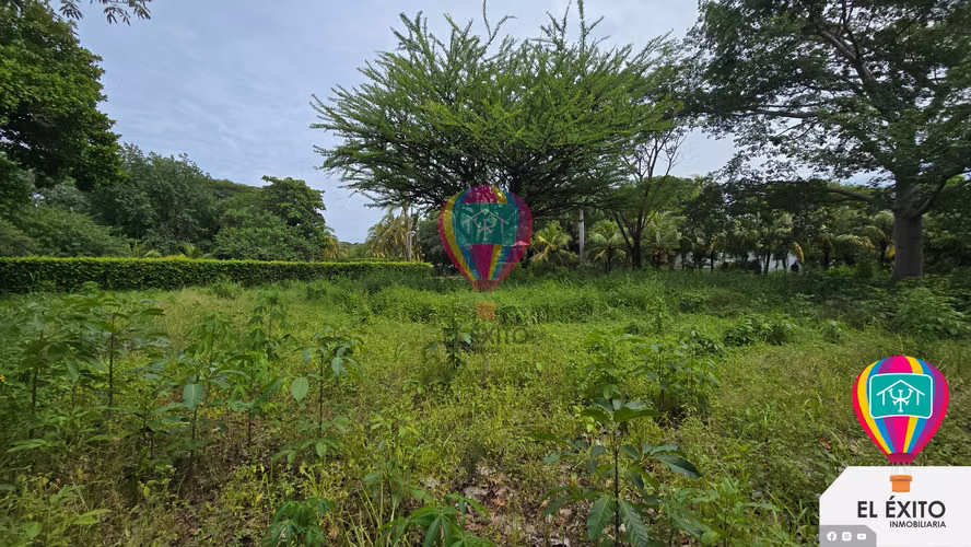 VENDO TERRENOS EN LAS VERANERAS LOS COBANOS, SONSONATE - Imagen 4