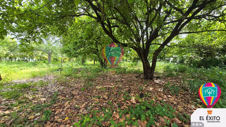 VENDO TERRENOS EN LAS VERANERAS LOS COBANOS, SONSONATE - Imagen 2