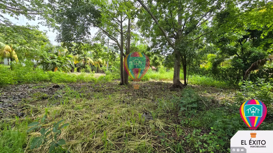 VENDO TERRENOS EN LAS VERANERAS LOS COBANOS, SONSONATE - Imagen 9