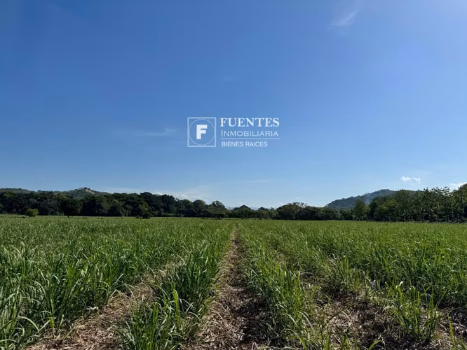 VENTA TERRENO PLANO SONSONATE CANTON SALINAS DE AYACACHAPA