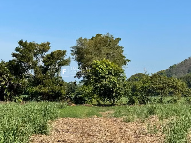 VENTA TERRENO SANTA ANA IDEAL DESARROLLO INMOBILIARIO