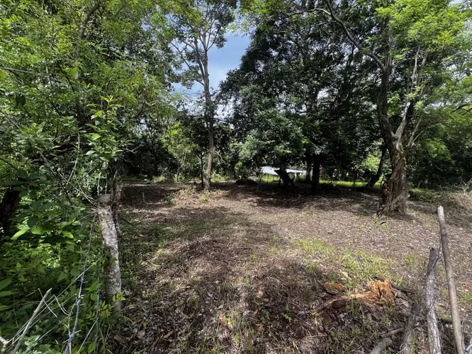 Se vende 2 lotes en San Jose Villanueva! - Imagen 2