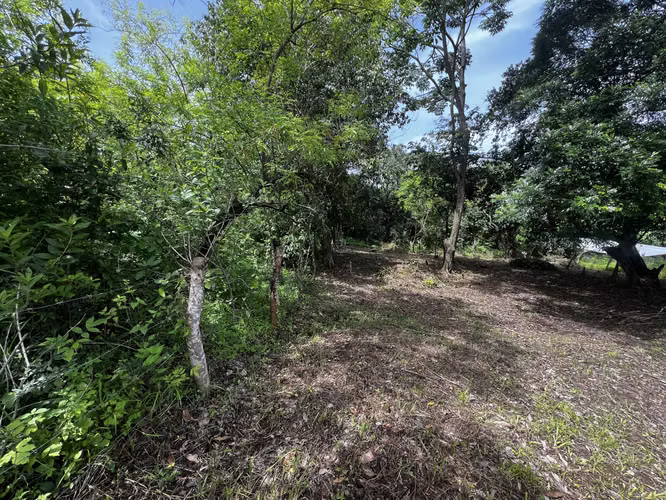 Se vende 2 lotes en San Jose Villanueva! - Imagen 4
