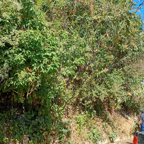 Se vende terreno