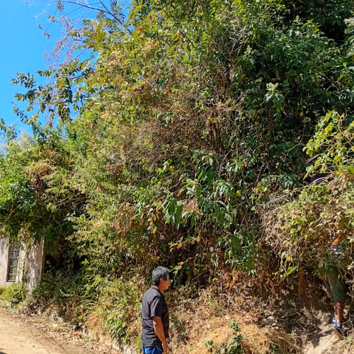 Se vende terreno