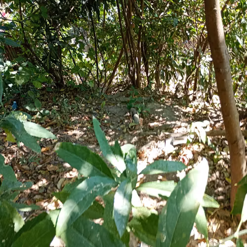 Se vende terreno