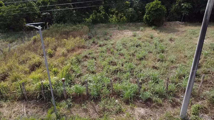 En Venta Solar de 10x25 en San Diego Metapán,Negociable. - Imagen 2