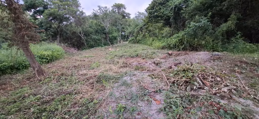 Se vende terreno de 10X25