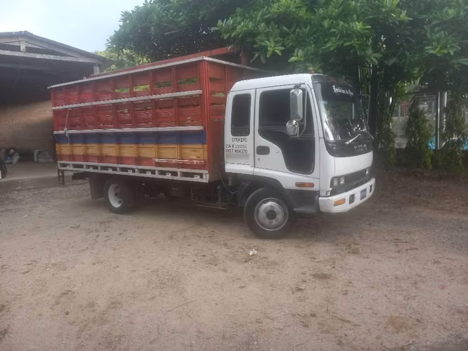 Camion isuzu frr disponible 