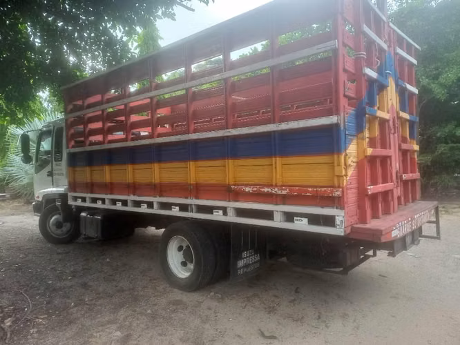 Camion isuzu frr disponible 