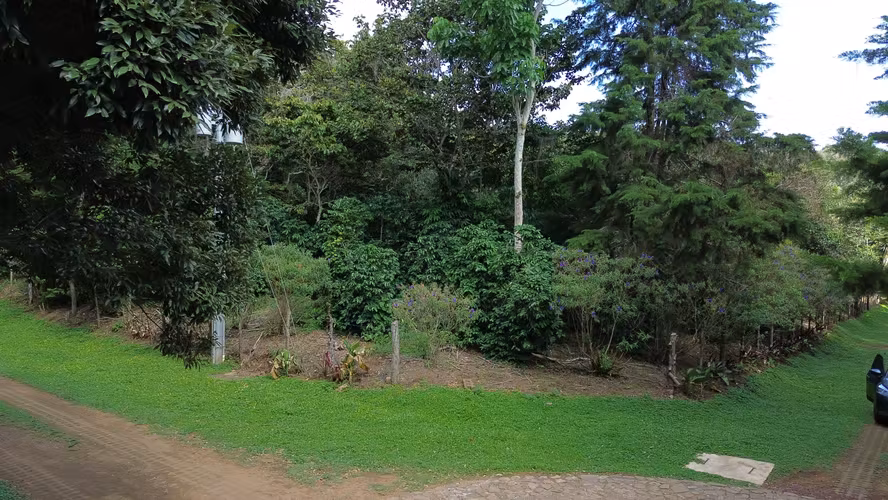 Lotes en Privado, a 9 min del Centro de Apaneca. - Imagen 6