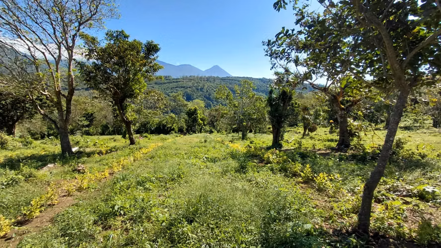 Lotes en Venta en Juayua Sonsonate - Imagen 3