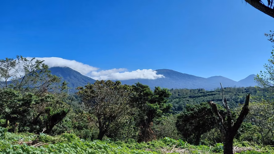 Lotes en Venta en Juayua Sonsonate - Imagen 2