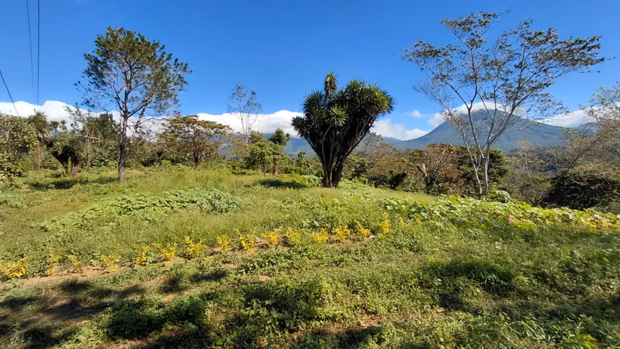 Lotes en Venta en Juayua Sonsonate - Imagen 4