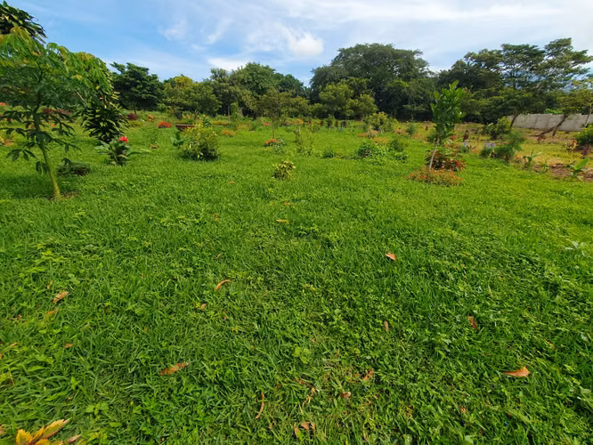 Lote en venta en Juayua, sonsonate. - Imagen 6