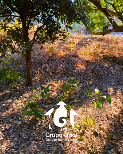 SE VENDE LOTE EN SAN JOSÉ VILLANUEVA - Imagen 9