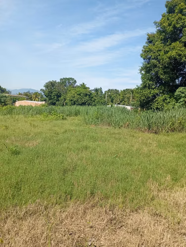 Oportunidad de Inversión:  Venta de Terreno Plano en Cantón Ateos ,  Sacacoyo , La Libertad Oeste - Imagen 3