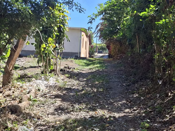 VENTA 1 MANZANA Y MEDIA AREA CEIBA PREÑADA SANTA ANA - Imagen 18