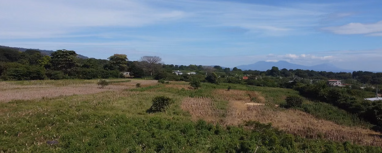 Venta de Terreno en Zacatecoluca - 12.3 Manzanas - Imagen 6
