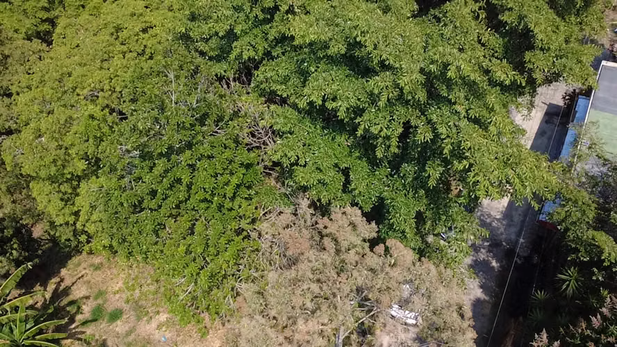 Venta de Lote en lotificación Quintas de San Emilio -  Pasaje Kriete - Imagen 2