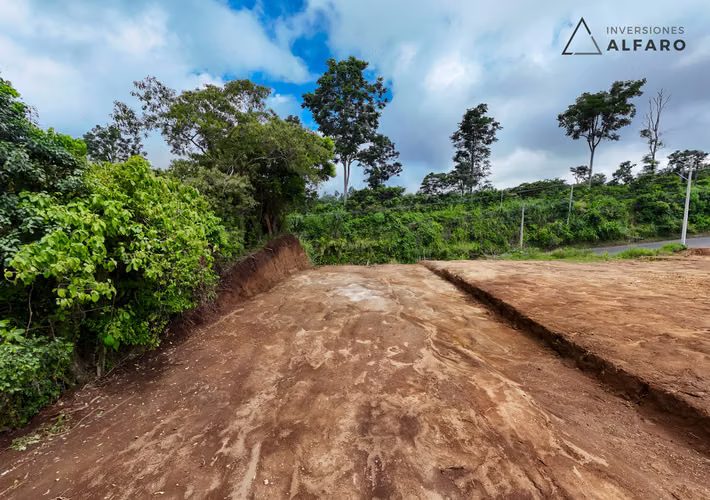 Amplio Terreno de 484 m2 en Residencial en Salcoatitán - Imagen 7