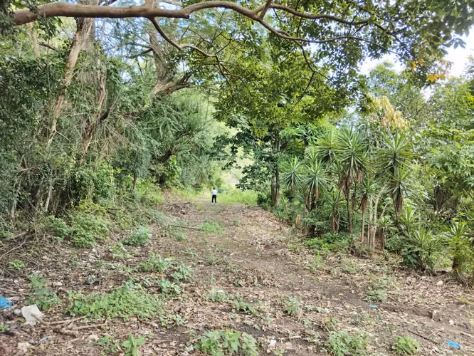 Terreno en venta en Chalchuapa, Santa Ana - Imagen 7