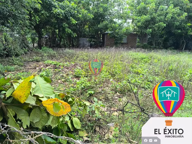 VENDO TRES LOTES EN IZALCO, SONSONATE  - Imagen 9