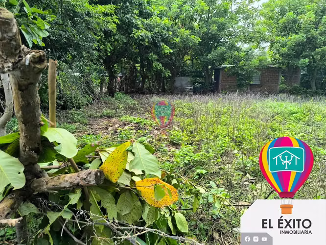 VENDO TRES LOTES EN IZALCO, SONSONATE  - Imagen 8
