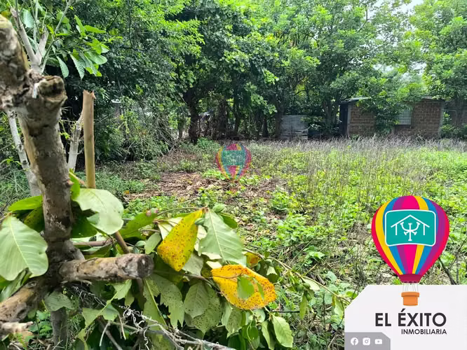 VENDO TRES LOTES EN IZALCO, SONSONATE  - Imagen 2
