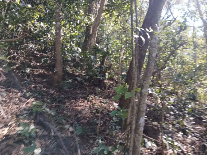 2MZ TIPO FINCA, EN CHINAMECA A $55mil las dos mz, SE VENDEN JUNTAS - Imagen 3