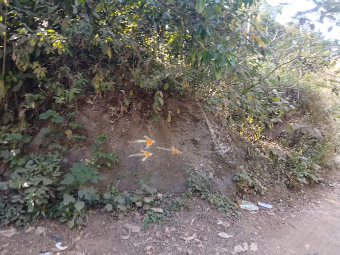 2MZ TIPO FINCA, EN CHINAMECA A $55mil las dos mz, SE VENDEN JUNTAS - Imagen 2