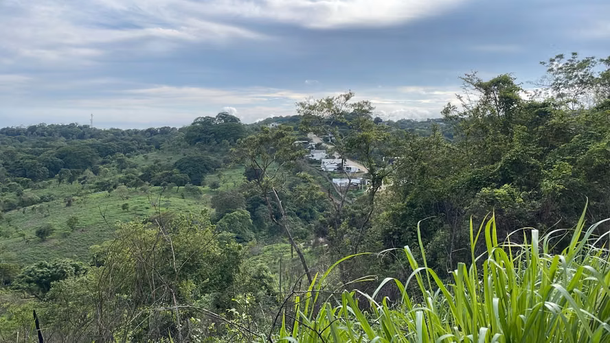 En Venta 16 Manzanas en Huizúcar, La Libertad, El Chaparral - Imagen 2
