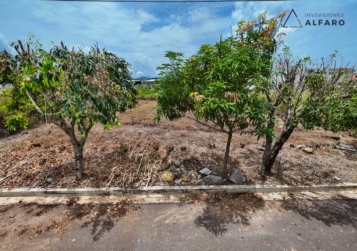 Exclusivo Lote de 500m² en Residencial en Chalatenango - Imagen 15