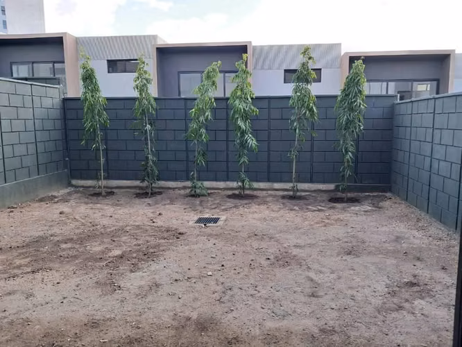 Alquilo Casa Moderna En Puerta Del Bálsamo Nuevo Cuscatlán - Imagen 3