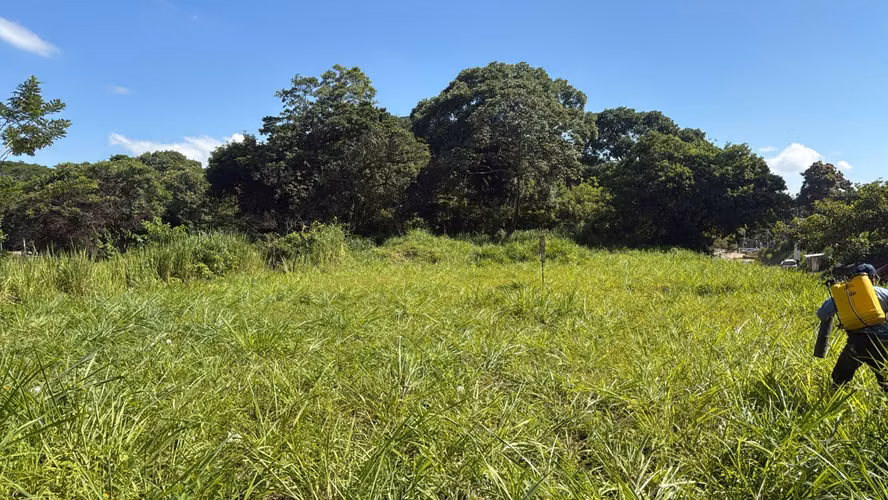 Santa Ana se alquila en la nueva área de crecimiento