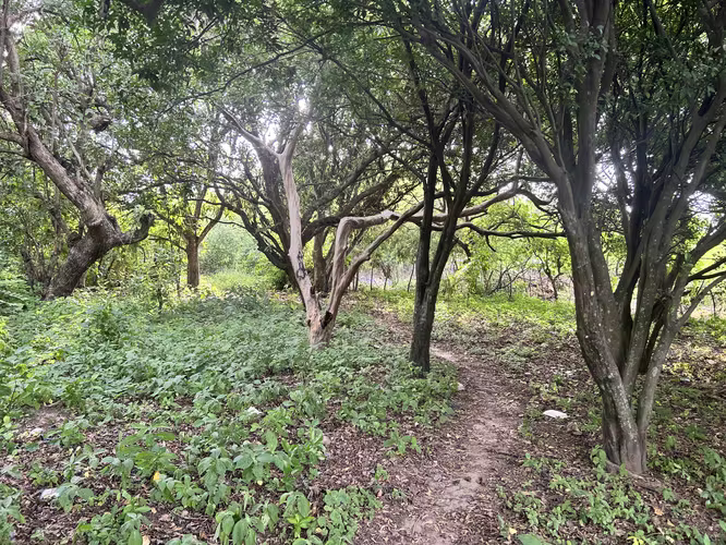 Terrenos en Venta San Vicente