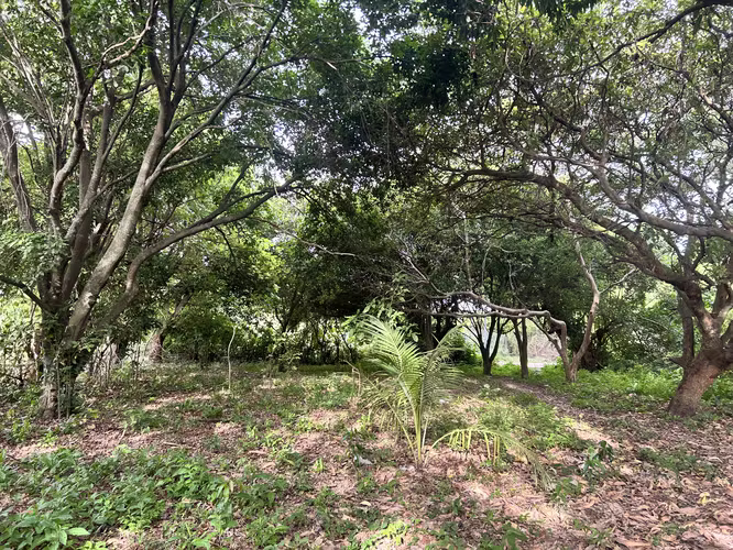 Terrenos en Venta San Vicente