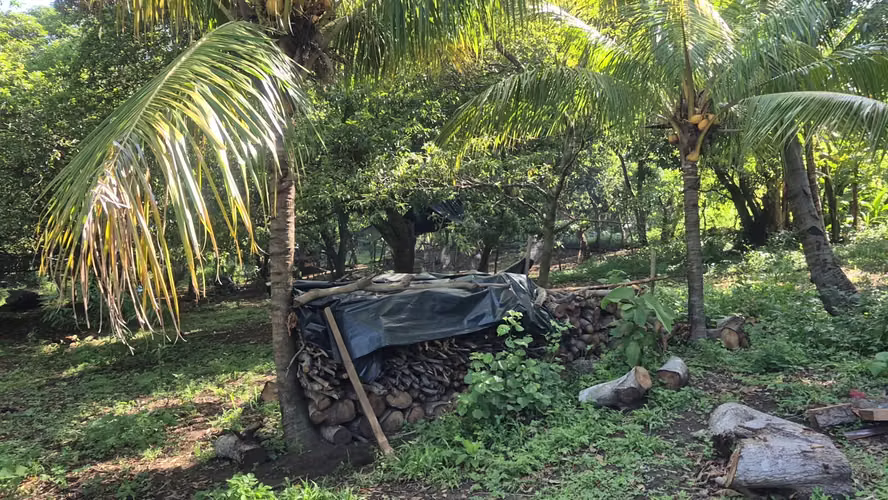 Terreno 10,286 v² con Vista al Volcán y Huerto Frutal - Sonsonate - Imagen 8