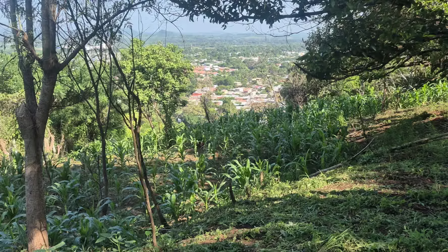 Terreno 10,286 v² con Vista al Volcán y Huerto Frutal - Sonsonate - Imagen 6