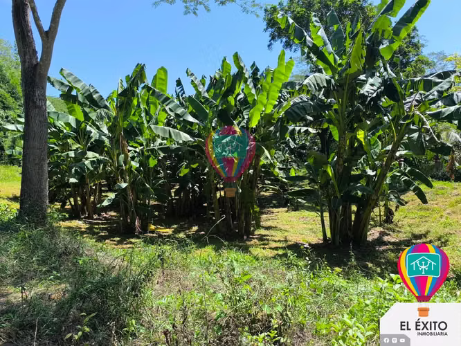 VENDO HACIENDA CARRETERA LITORAL, SONSONATE - Imagen 3