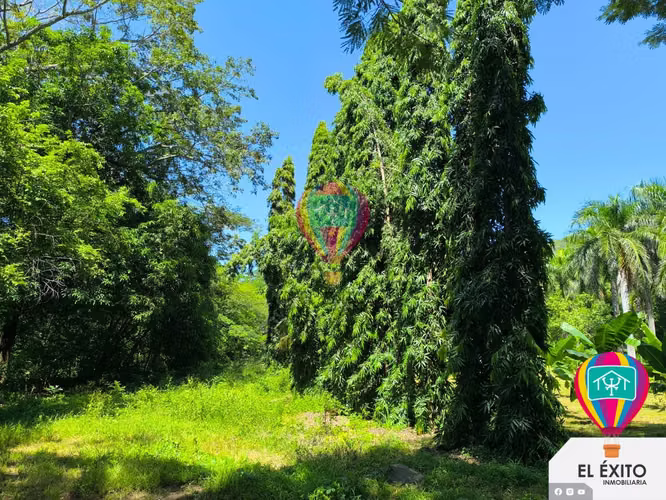 VENDO HACIENDA CARRETERA LITORAL, SONSONATE - Imagen 15