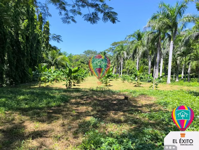 VENDO HACIENDA CARRETERA LITORAL, SONSONATE - Imagen 6