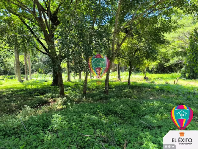VENDO HACIENDA CARRETERA LITORAL, SONSONATE - Imagen 13